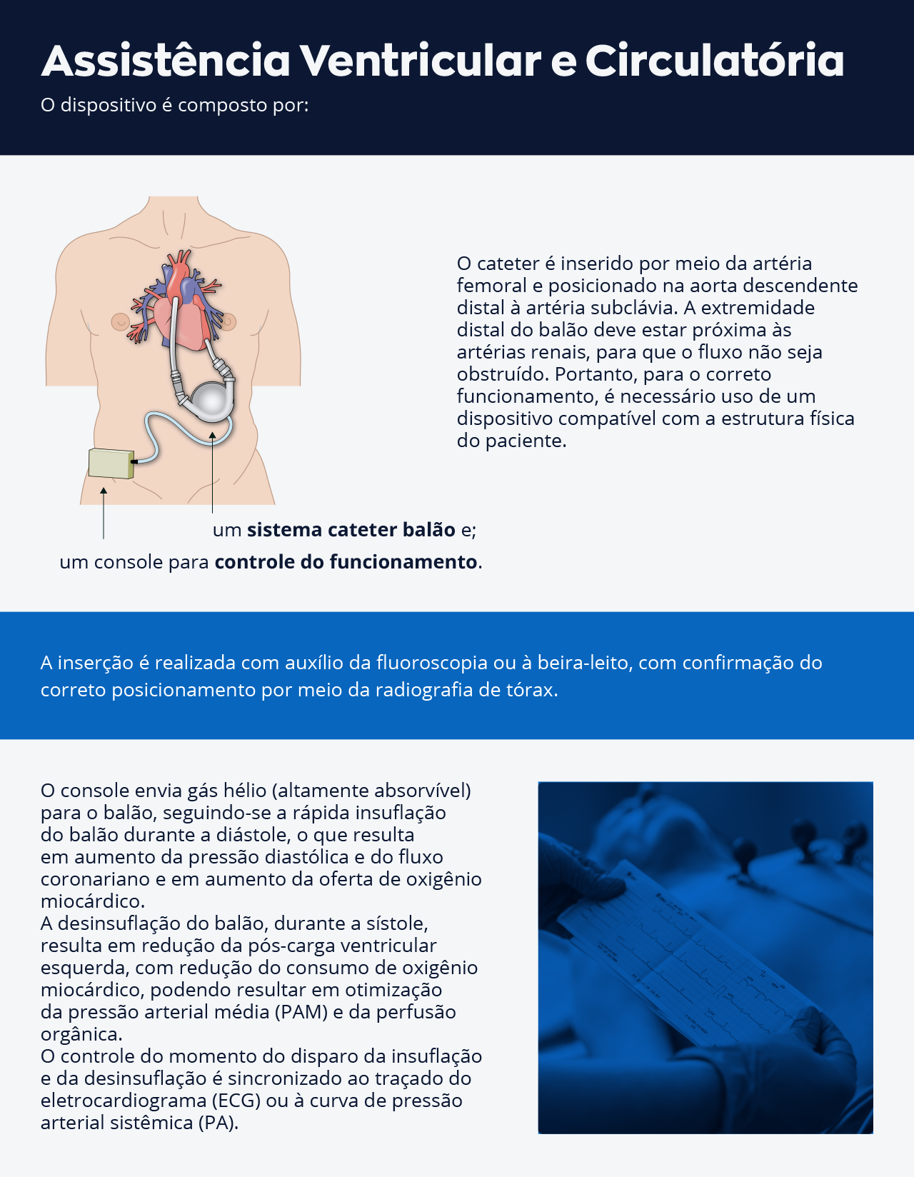 Descrição do infográfico